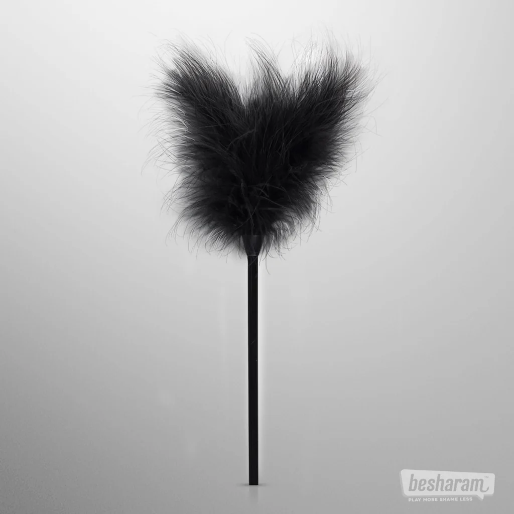 Secret Pleasure Chest Black Fantasy BDSM Set - Image 9