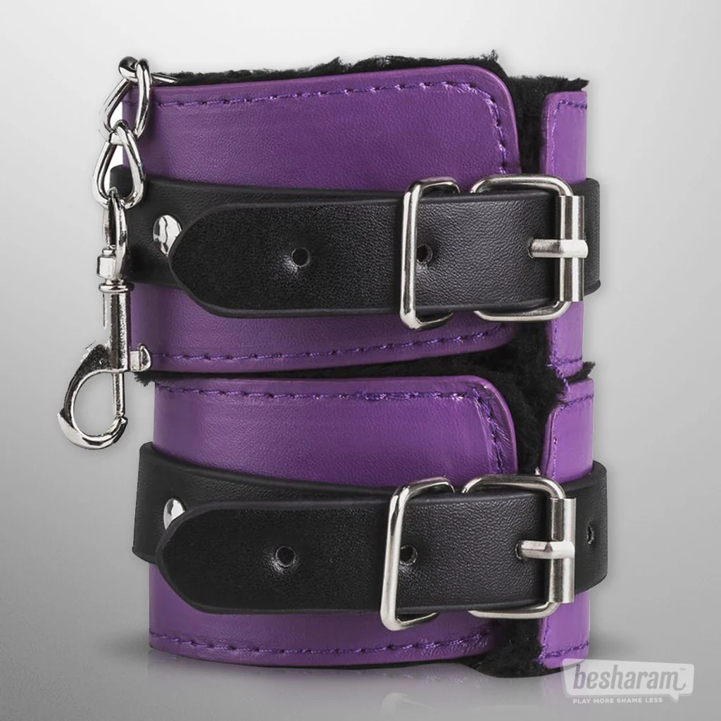 Secret Pleasure Chest Purple Apprentice BDSM Set - Image 4