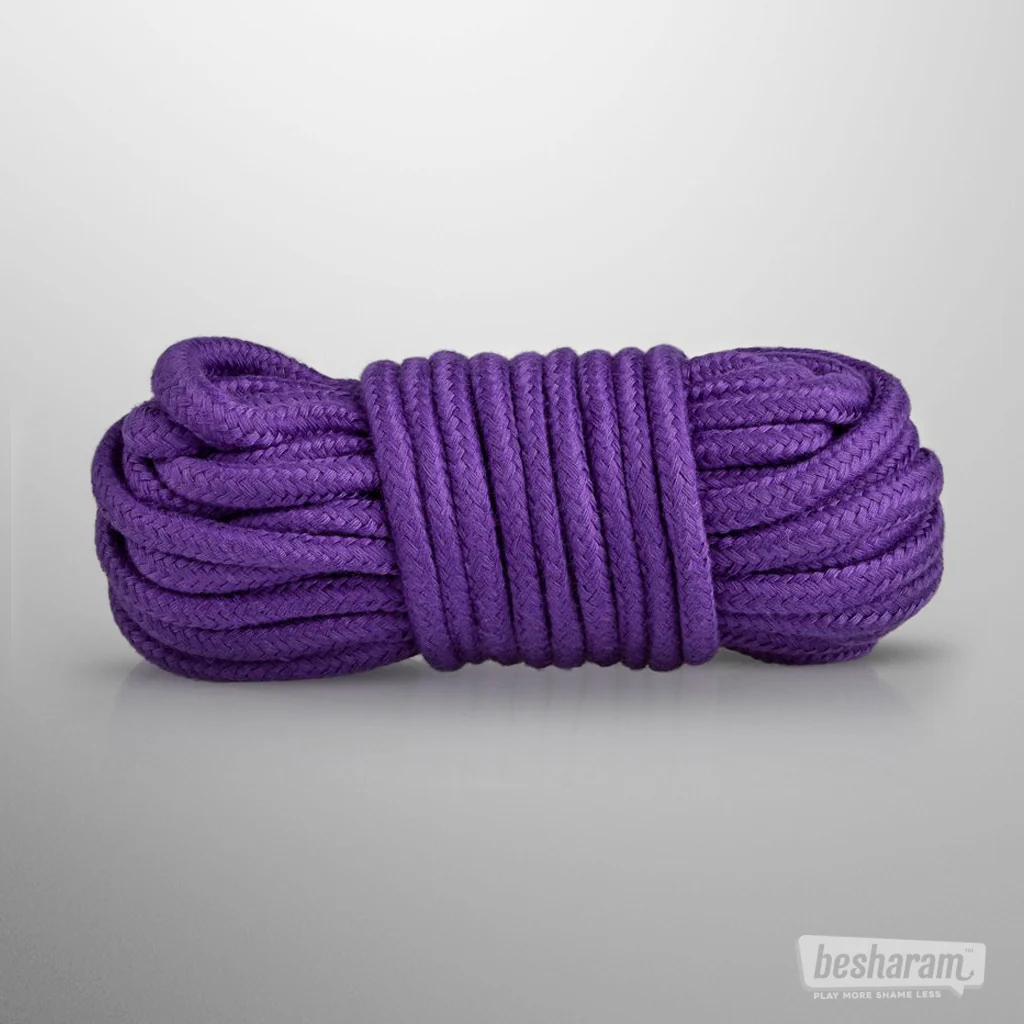 Secret Pleasure Chest Purple Apprentice BDSM Set - Image 6