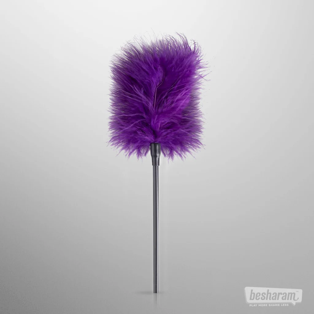 Secret Pleasure Chest Purple Apprentice BDSM Set - Image 7