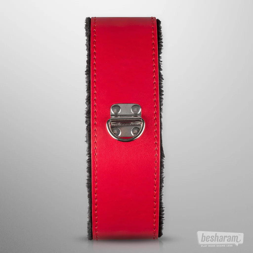 Secret Pleasure Chest Red Dragon BDSM Set - Image 3