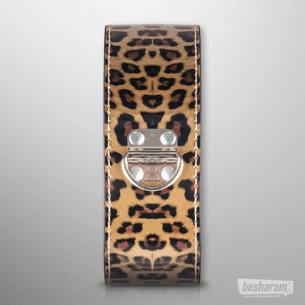 Secret Pleasure Chest Wicked Wildcat BDSM Set - Image 3